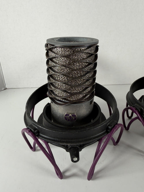 Aston Origin Condenser Microphones w/ Shockmount Stereo Pair Vocal Mic  Room Mic